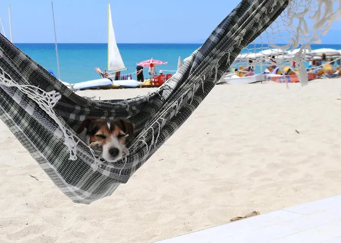 Nirvana Club Village Parque de vacaciones Botricello